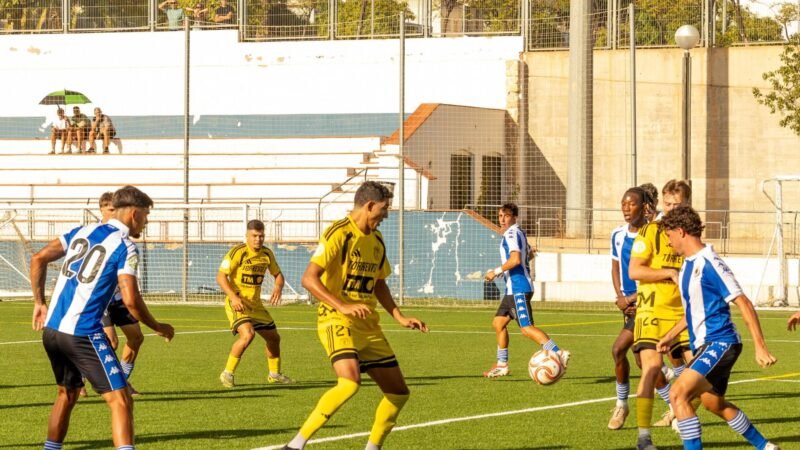 El Hércules B cae contra el Torrevieja (1-2)